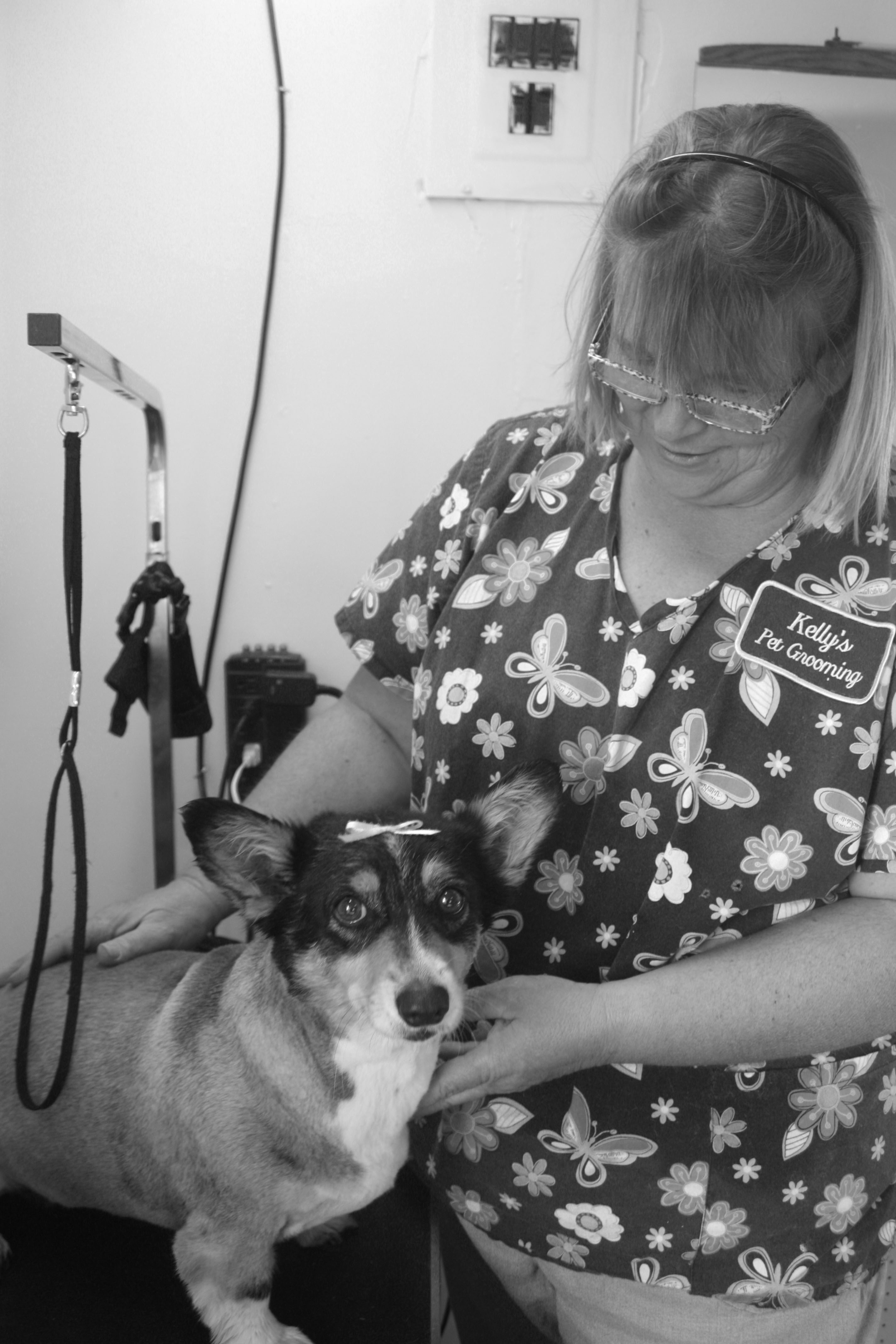 kelly's pet grooming